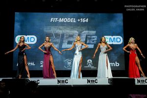 FIT-MODEL +164 2 раунд